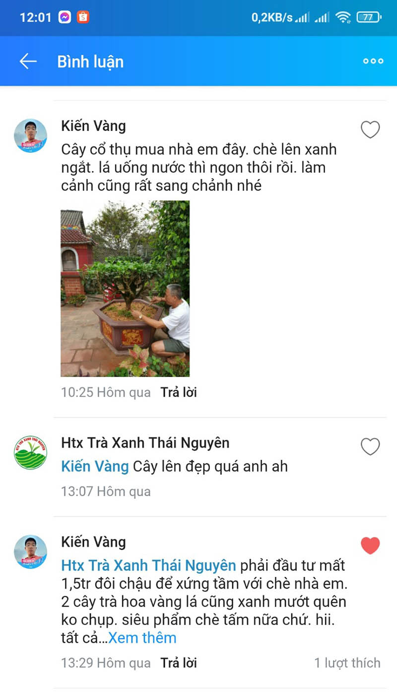 03109e974ac1bd9fe4d0