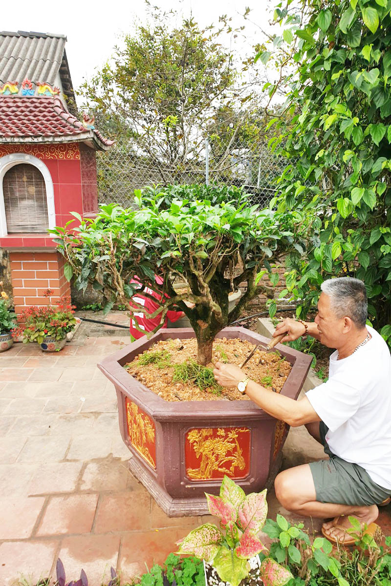 3b3b756aa13c56620f2d