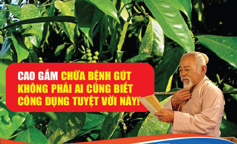 cao-gam_cao-gam-do_cao-xa-den_cao-xuong-khop