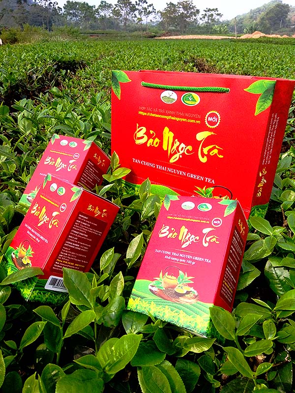 hop_tra_bao_ngoc_600x800