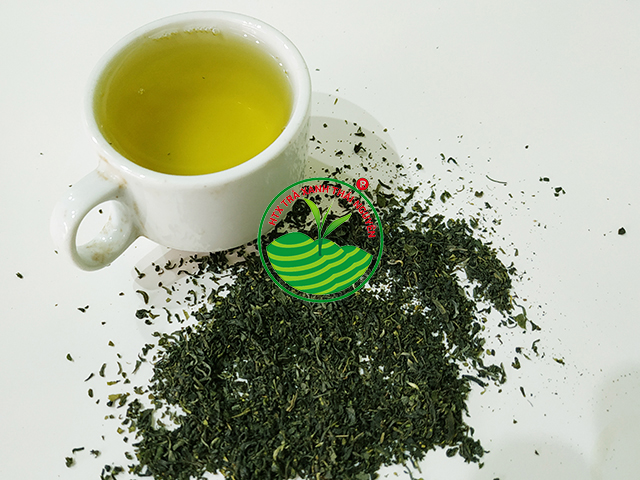 tra-cam-che-cam-thai-nguyen_16