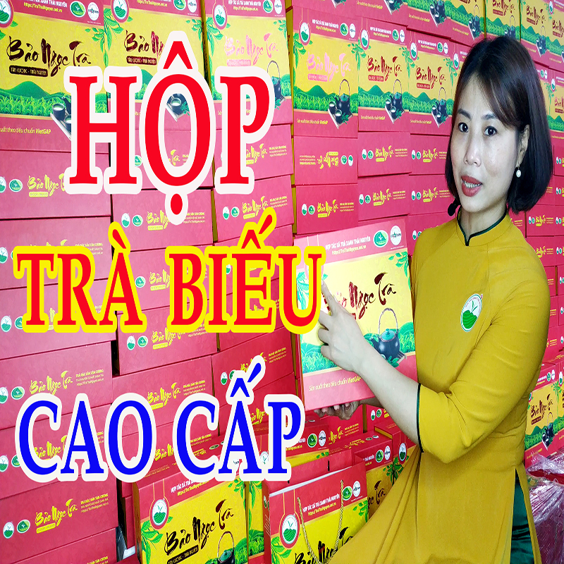 Hộp Trà biếu | Hộp Chè Thái Nguyên