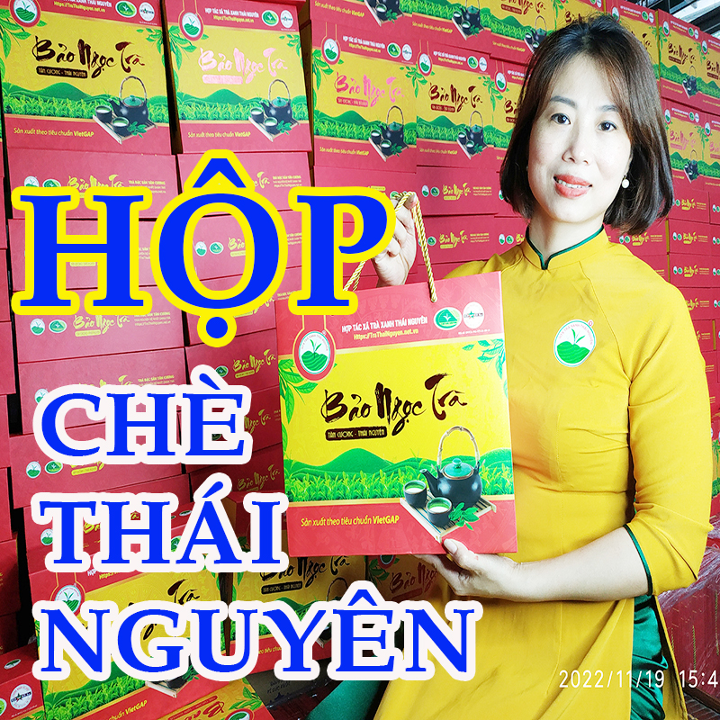 Hộp chè Thái Nguyên | Trà Biếu Cao Cấp
