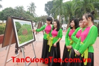 Triển lãm ảnh về đất nước, con người và trà Thái Nguyên