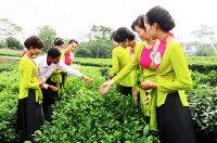 Đại Từ: Giá trị sản xuất nông - lâm nghiệp, thuỷ sản đạt trên 1.600 tỷ đồng