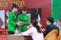 Phú Thọ: Chè được giá cả vụ