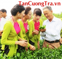 Hà Nội tiến tới xây dựng thương hiệu chè sạch