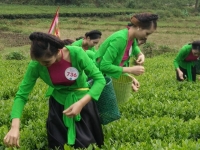 Tối nay khai mạc Festival trà Thái Nguyên 2015