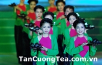 Mua chè Thái Nguyên ngon nhất ở Hà Nội như thế nào?