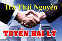 HTX Trà Xanh Thái Nguyên tiếp tục tuyển Đại lý trà Thái Nguyên 2017 tại Hà Nội