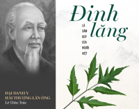 Top 9 thương hiệu trà đinh lăng tươi tốt nhất 2023