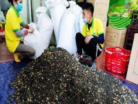 Uống trà hoa nhài nhiều có tốt không? Ai không nên uống?