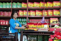 Giới thiệu về Trà Thái Nguyên Tân Cương - Sản phẩm cao cấp số 1