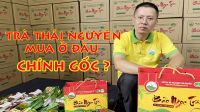 Hướng dẫn 6 cách pha chè Tân Cương Thái Nguyên ngon đúng chuẩn