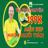 50+ Hình ảnh chè Thái Nguyên đẹp nhất 2024, Ảnh chụp thực tế