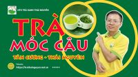 7 Bí Quyết Chọn Mua Trà Móc Câu Thái Nguyên Ngon