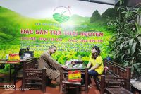 Trà Xanh Thái Nguyên: Di Sản Xanh Từ Vùng Đất Thượng Nguồn